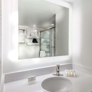 Standard One-Bedroom King Suite
